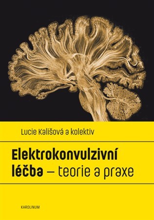 Obrázok Elektrokonvulzivní léčba - teorie a prax