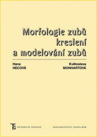 Obrázok Morfologie zubů - Kreslení a modelování zubů