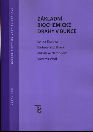 Obrazok Základní biochemické dráhy v buňce