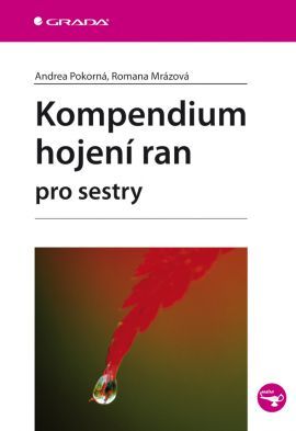 Obrázok Kompendium hojení ran pro sestry