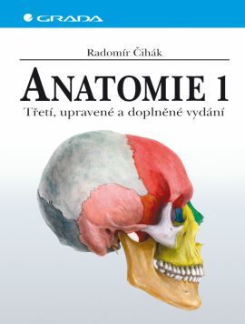 Obrázok Anatomie 1