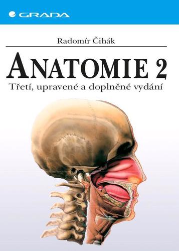 Obrázok Anatomie 2