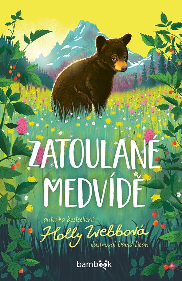 Obrázok Zatoulané medvídě