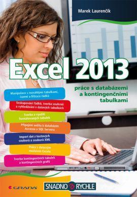 Obrázok Excel 2013 práce s databázemi a kontingenčními tabulkami