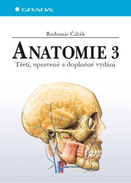 Obrázok Anatomie 3