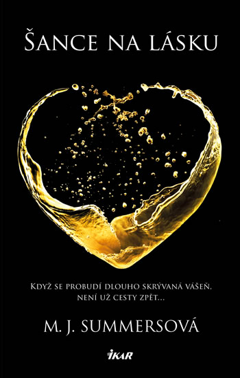 Obrázok Šance na lásku