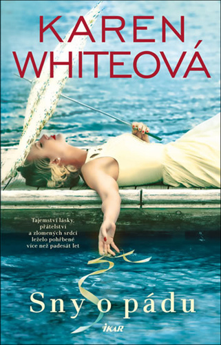 Obrázok Sny o pádu