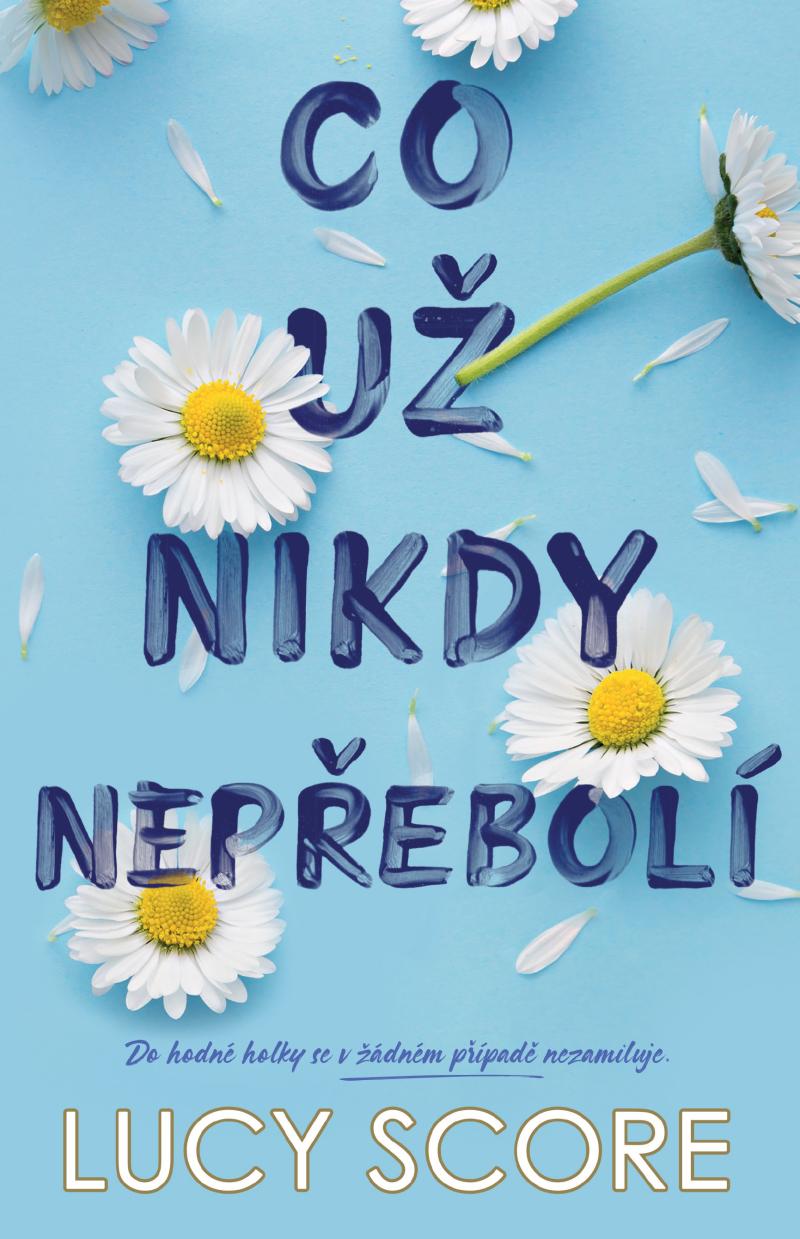 Obrázok Co už nikdy nepřebolí