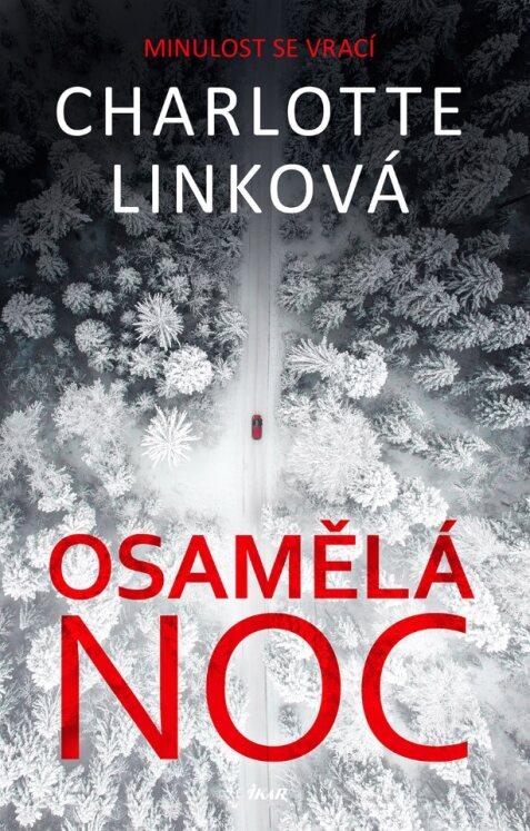 Obrázok Osamělá noc