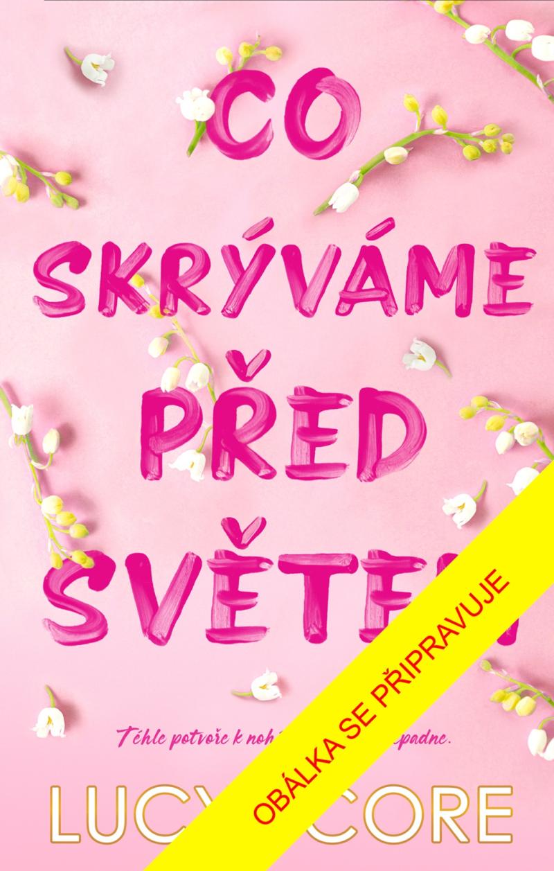 Obrázok Co skrýváme před světem