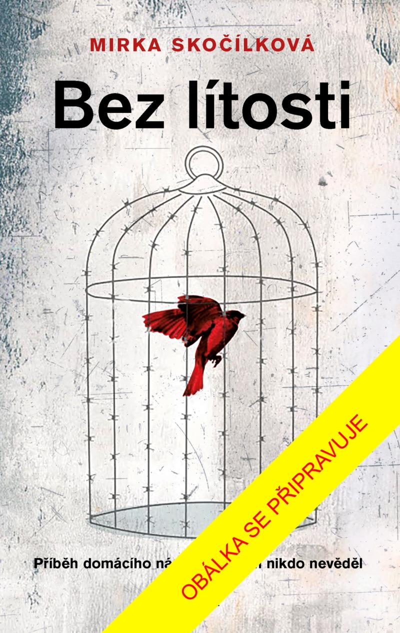 Obrázok Bez lítosti