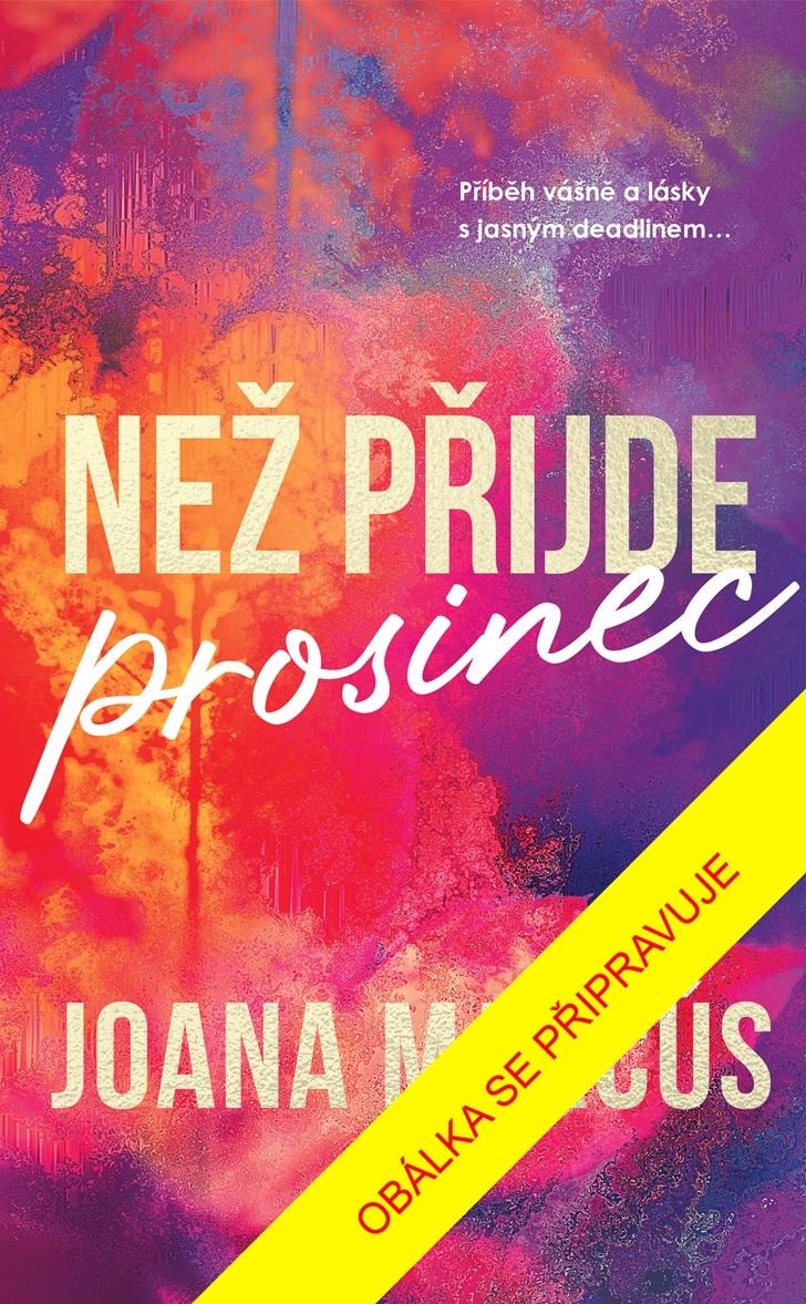 Obrázok Než přijde prosinec