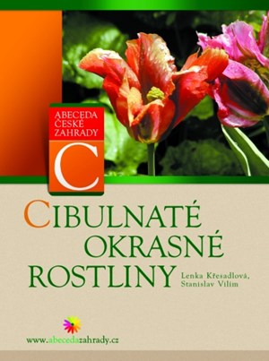 Obrázok Cibulnaté okrasné rostliny