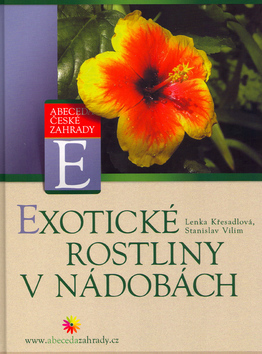 Obrázok Exotické rostliny v nádobách