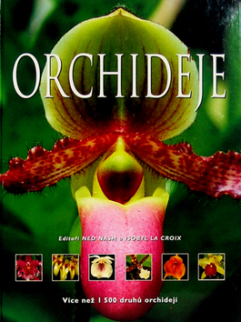 Obrázok Orchideje
