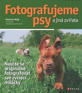 Obrázok Fotografujeme psy