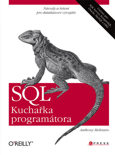 Obrázok SQL