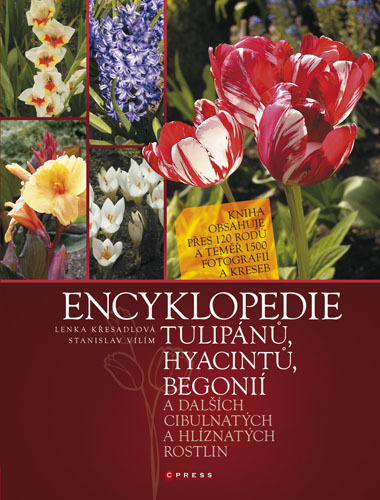 Obrázok Encyklopedie tulipánů, hyacintů, begonií