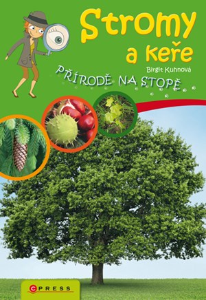 Obrázok Stromy a keře