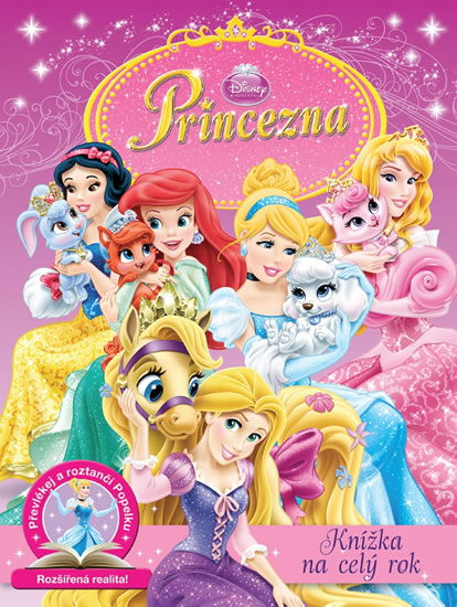 Obrázok Princezna - Knížka na celý rok