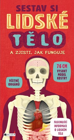 Obrázok Sestav si lidské tělo