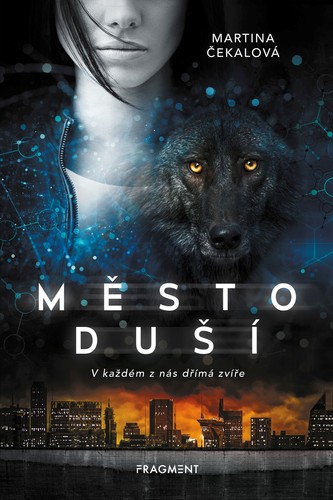 Obrázok Město duší