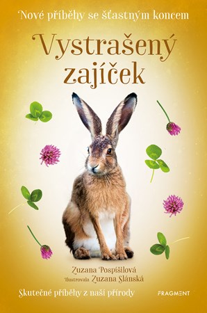 Obrázok Nové příběhy se šťastným koncem – Vystrašený zajíček