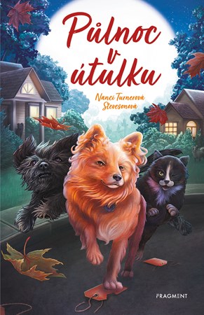 Obrázok Půlnoc v útulku