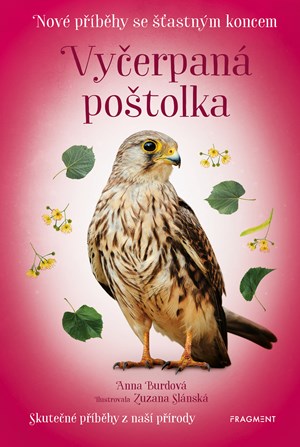 Obrázok Nové příběhy se šťastným koncem – Vyčerpaná poštolka