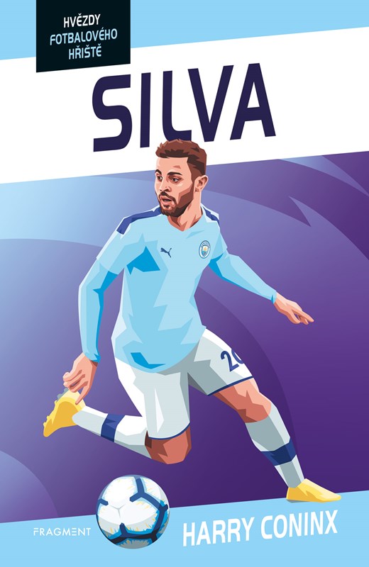 Obrazok Hvězdy fotbalového hřiště - Silva