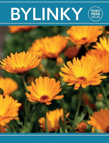 Obrázok Bylinky miniatlas