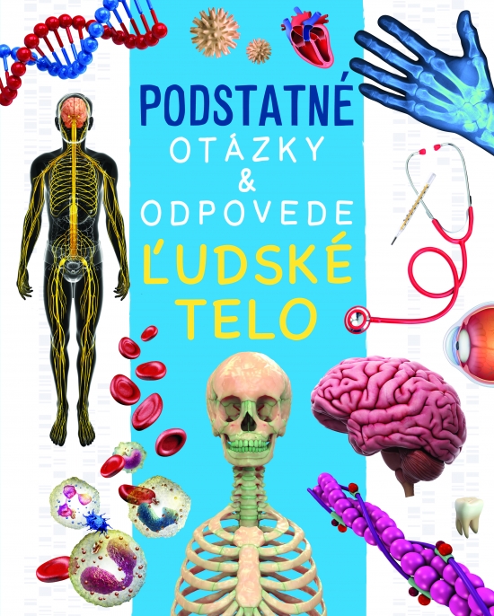 Obrázok Ľudské telo - Podstatné otázky & odpovede