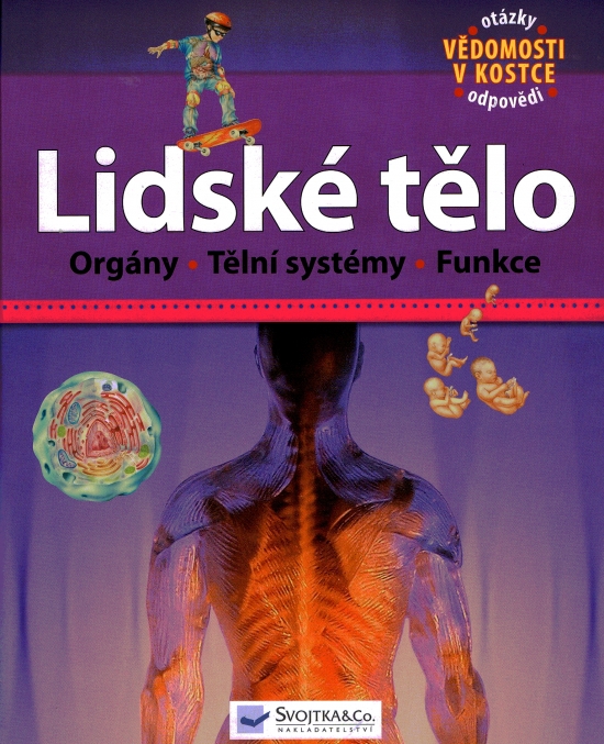 Obrázok Lidské tělo - Orgány, Tělní systémy, Funkcie