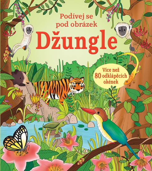 Obrázok Džungle - Podívej se pod obrázek
