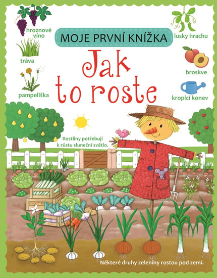Obrázok Jak to roste - Moje první knížka