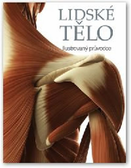Obrázok Lidské tělo - Ilustrovaný průvodce