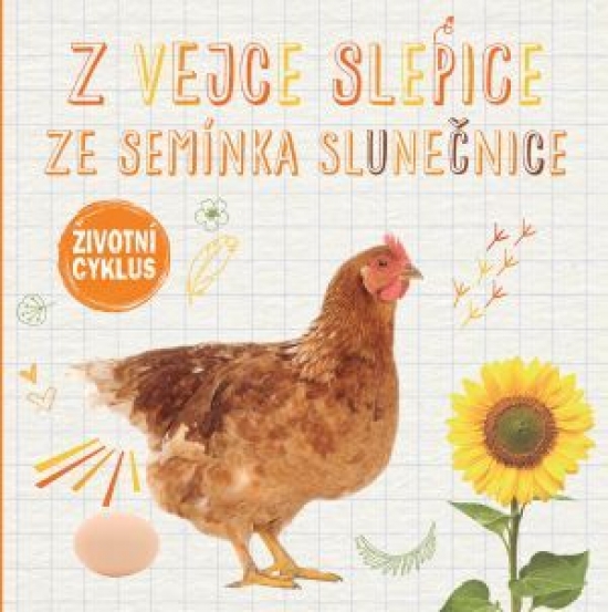 Obrázok Z vejce slepice, ze semínka slunečnice - Životní cyklus