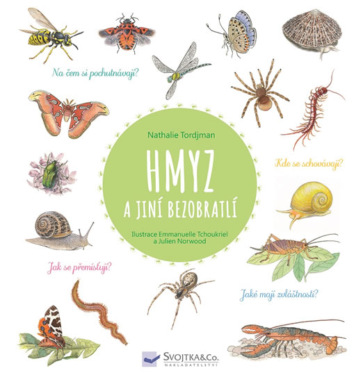 Obrázok Hmyz a jiní bezobratlí