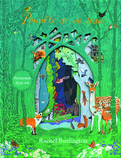 Obrázok Ponořte se do lesa