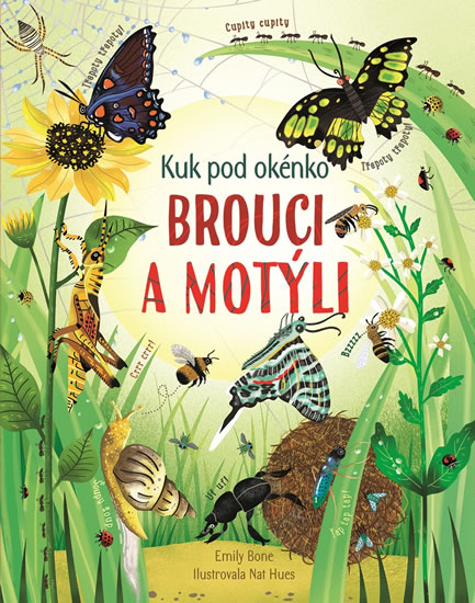 Obrázok Brouci a motýli - kuk pod okénko