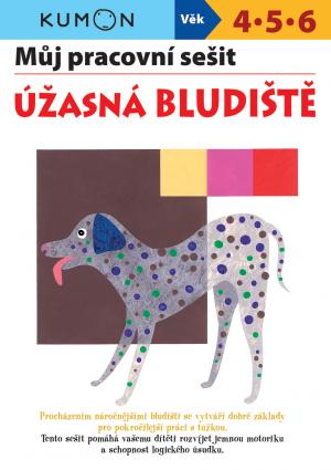 Obrázok Úžasná bludiště - Můj pracovní sešit