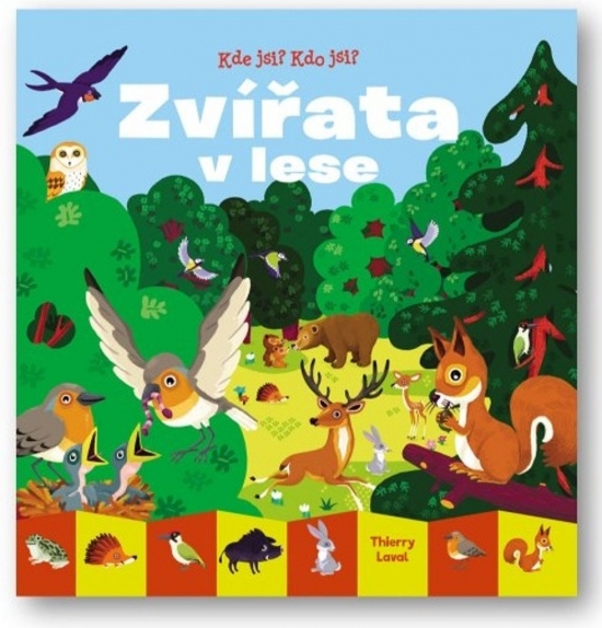 Obrázok Kde jsi? Kdo jsi? Zvířata v lese