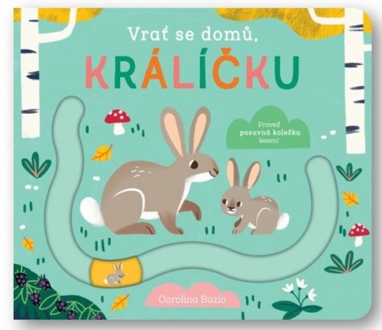 Obrázok Vrať se domů, králíčku