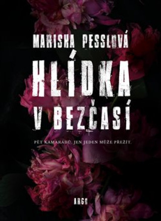 Obrazok Hlídka v Bezčasí