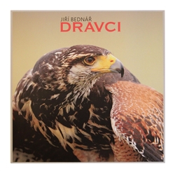 Obrázok Dravci