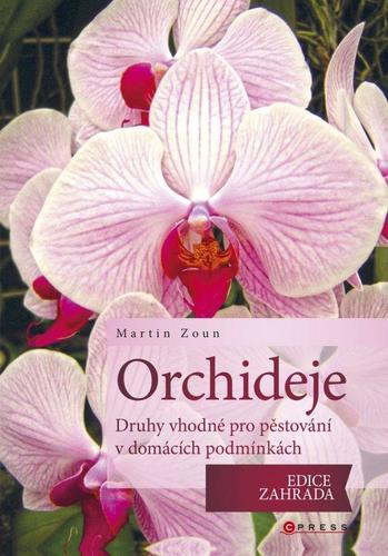 Obrázok Orchideje - druhy vhodné pro pěstování v domácích podmínkách