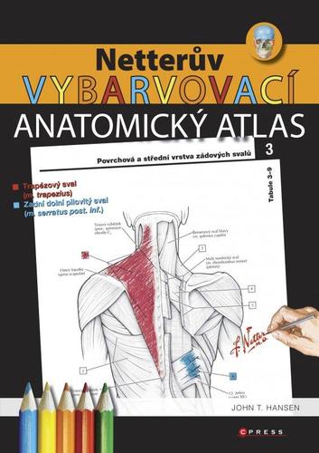 Obrázok Netterův vybarvovací anatomický atlas