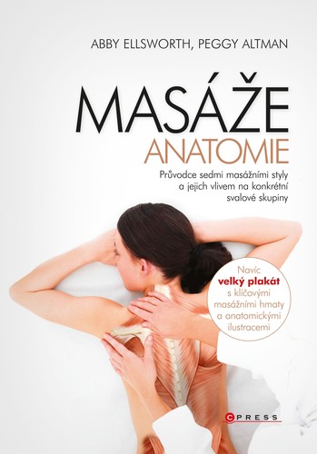 Obrázok Masáže - anatomie