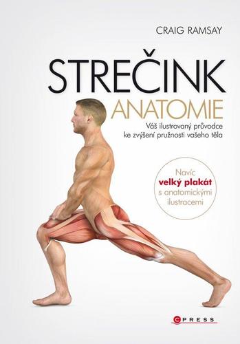 Obrázok Strečink - anatomie
