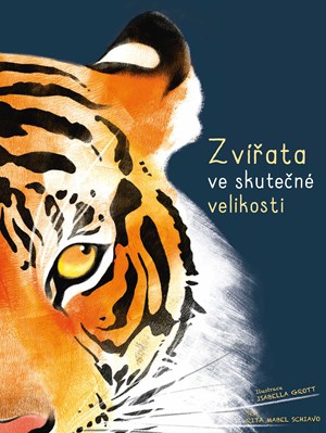 Obrázok Zvířata ve skutečné velikosti